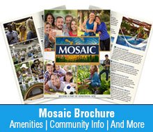 Mosaic Daytona Beach Homes Brochure