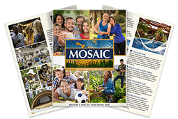 Mosaic Brochure